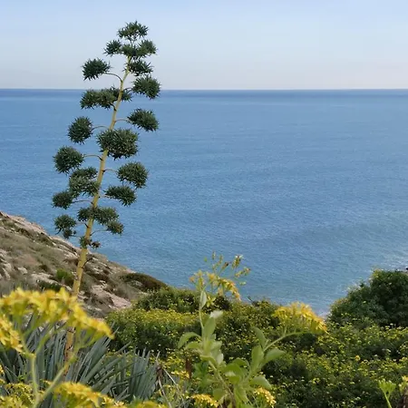 Escala